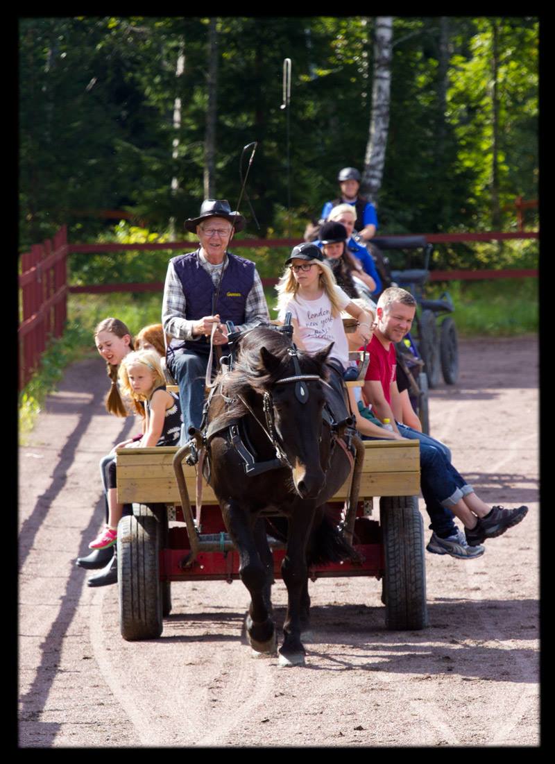 Åkning med häst och vagn